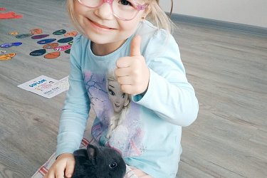 Obrázek č.64